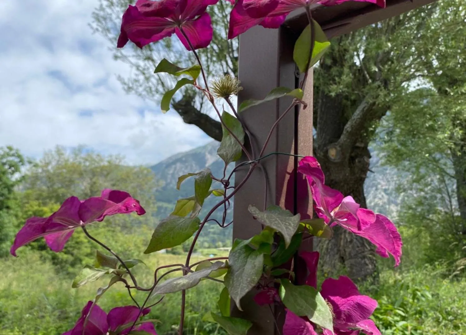 Villa Pelvoux Edelweiss غويستريه فرنسا